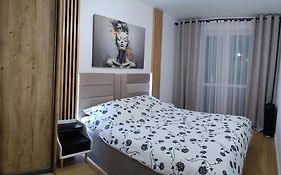 Apartament Loft